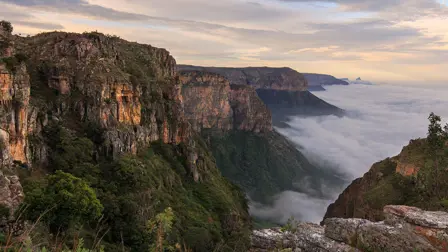 Sustentabilidade ambiental